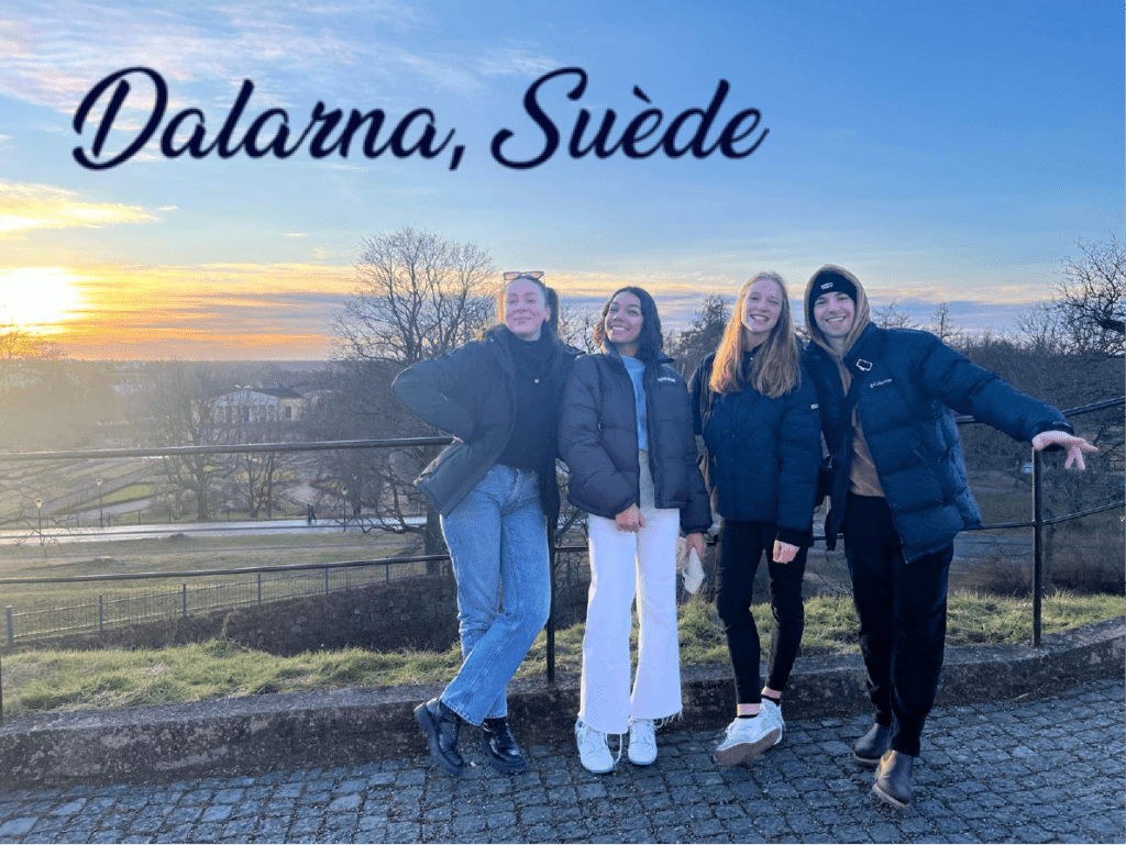 Étudiants de l'IUT d'Épinal-Hubert Curien en Suède