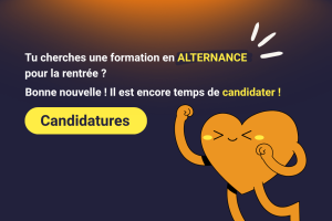 Candidatures encore possibles en alternance à l’IUT